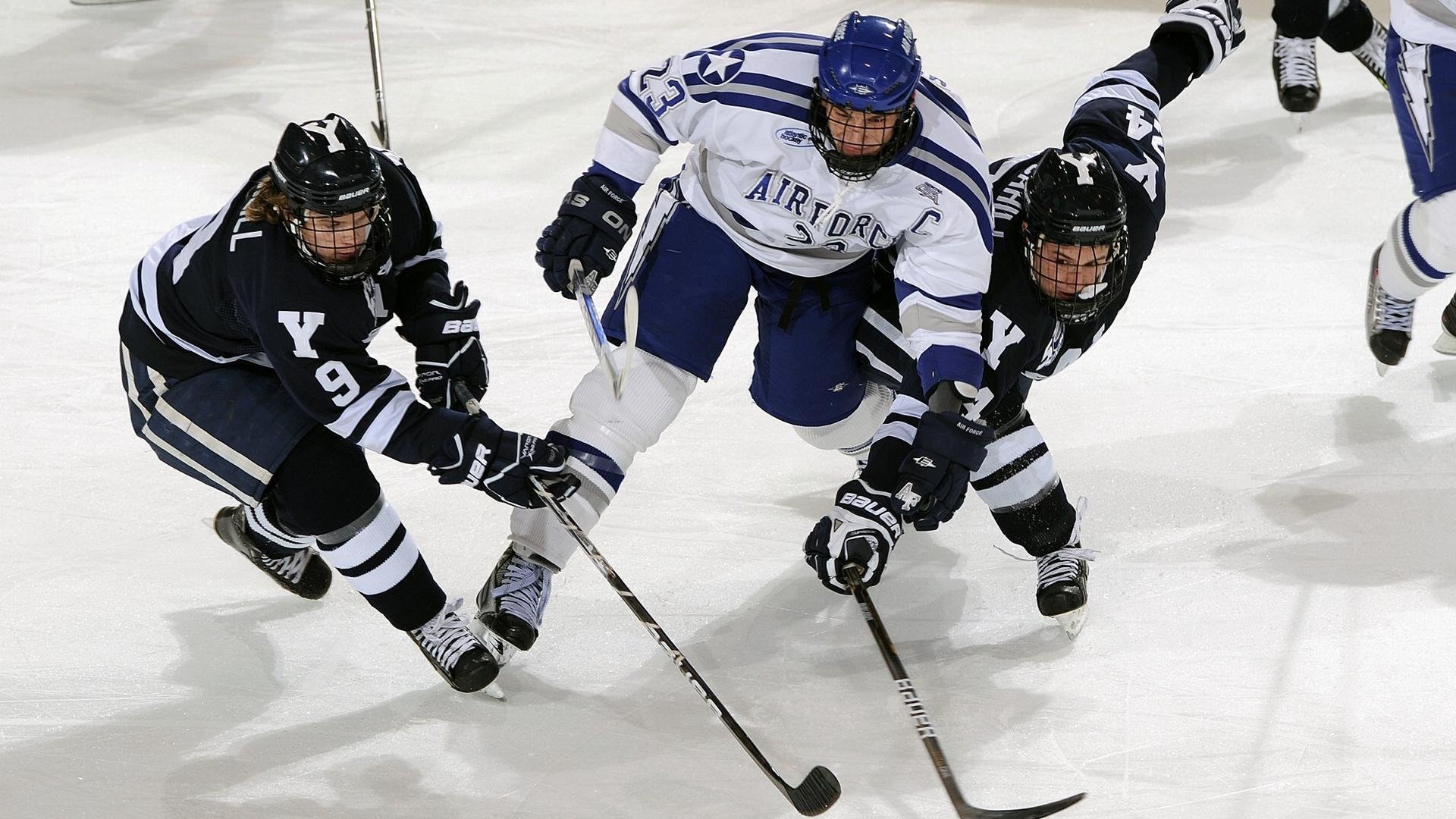 乔治接管世界排名争夺战，深圳队全面压制黄蜂展现统治力