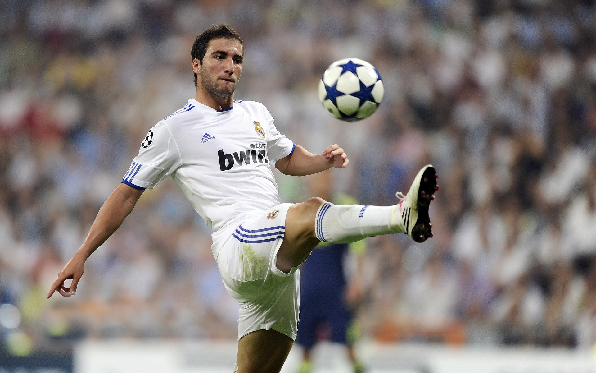 从神户到世界，三笘薰的NBA总决赛之夜